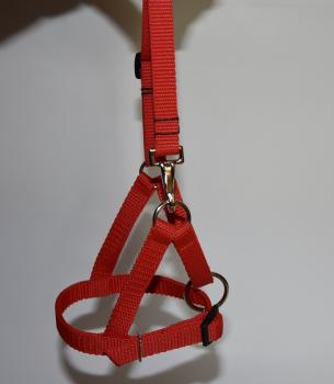 Alpaka Fohlenhalfter