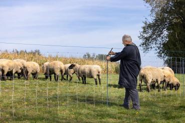 Wolfstop, Ergänzungsset für Weidenetze 10er Set