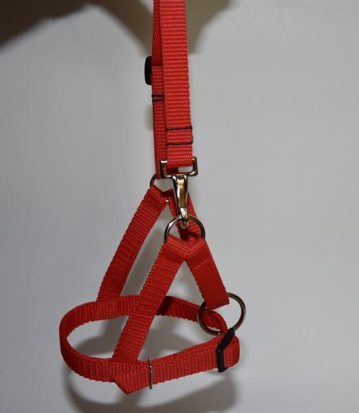 Alpaka Fohlenhalfter