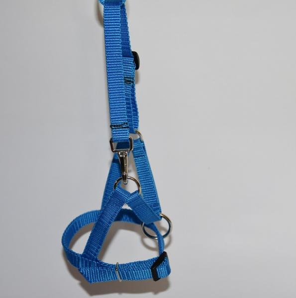 Alpaka Fohlenhalfter