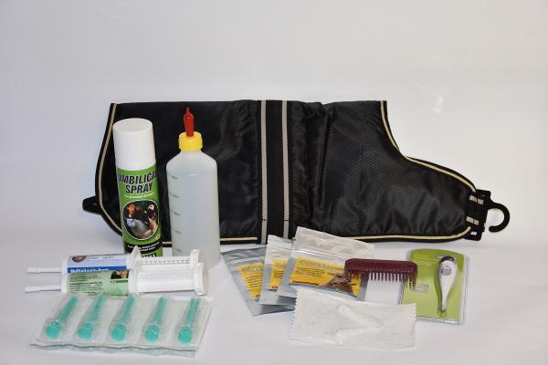 Fohlen Starter Paket small